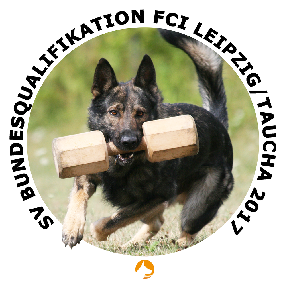 Logo FCI-Bundesqualifikation