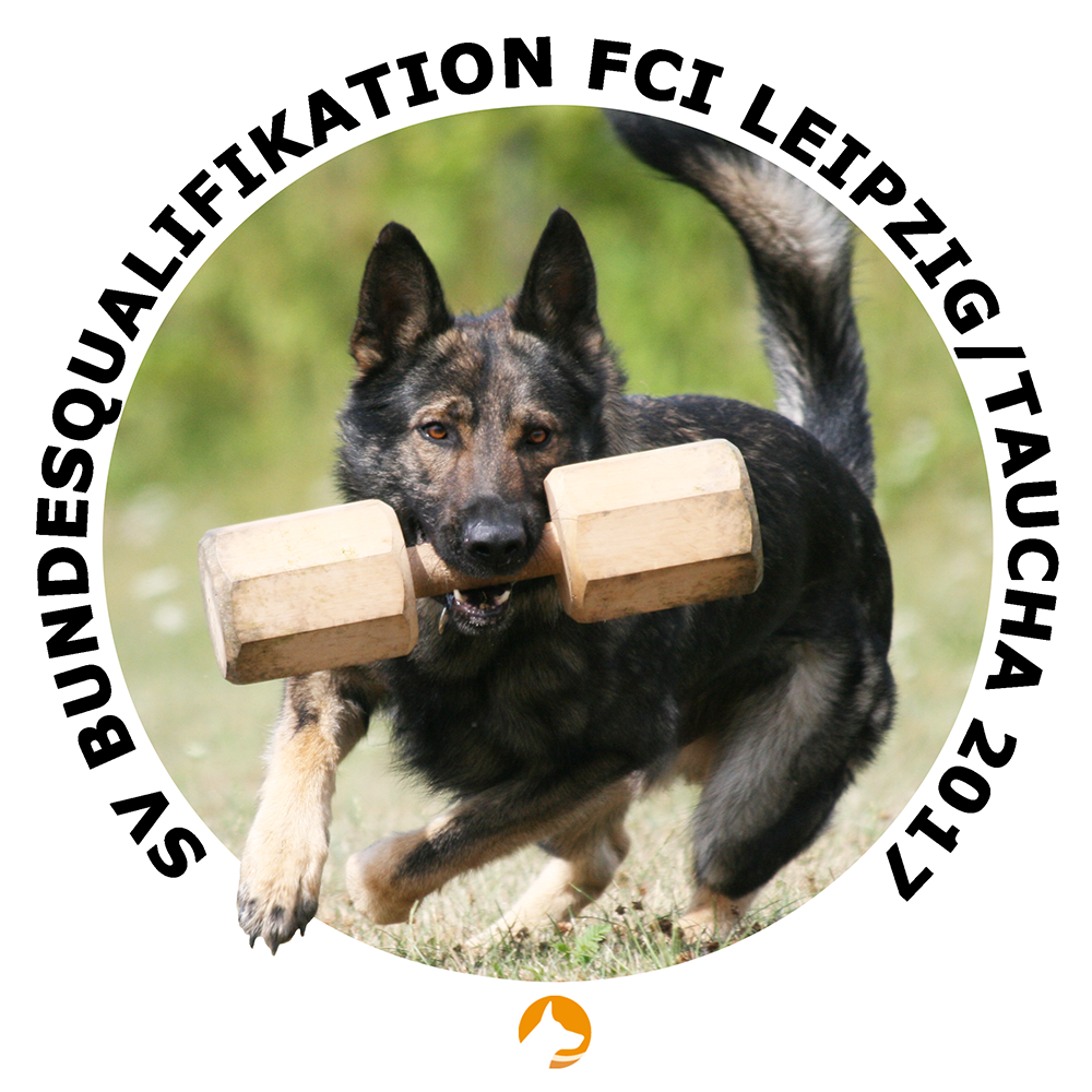 [Translate to EN:] Logo FCI-Bundesqualifikation