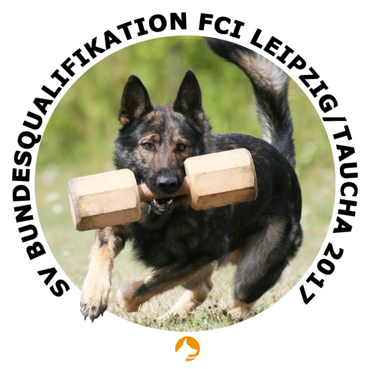 Logo FCI-Bundesqualifikation