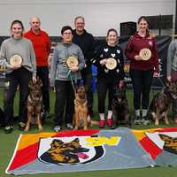 Gewinner der SV-Qualifikation zur WUSV Agility-WM 2026