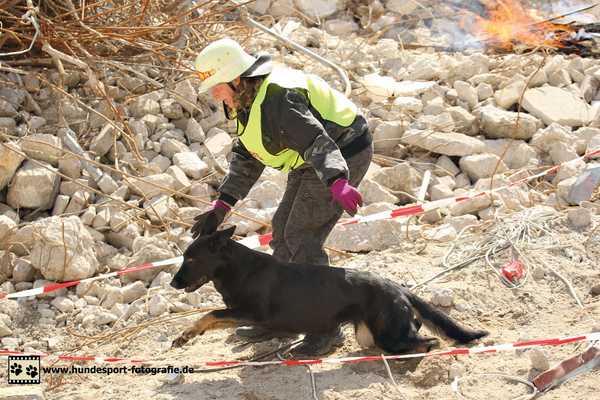 Deutscher Schäferhund mit seiner Hundeführerin auf einem Trümmerfeld