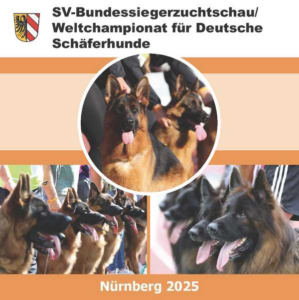 BSZ Logo 2025